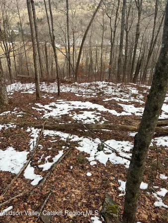 $115,000 | 0 Kelly Corners-Denver-Vega Road, Margaretville, NY 12455
