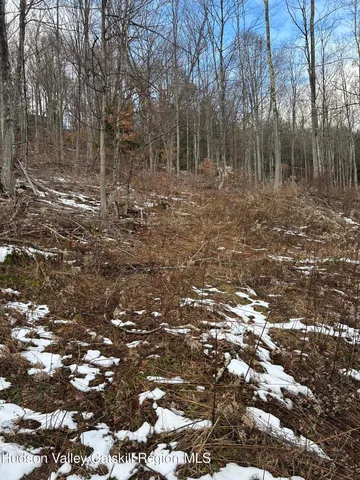 $122,500 | 0 Kelly Corners-Denver-Vega Road, Margaretville, NY 12455