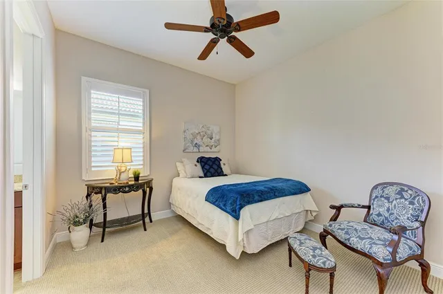 a view of a big yard with a large trees