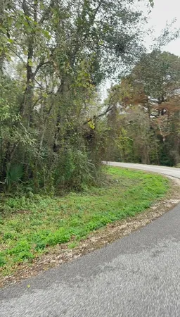 a view of a field with an trees