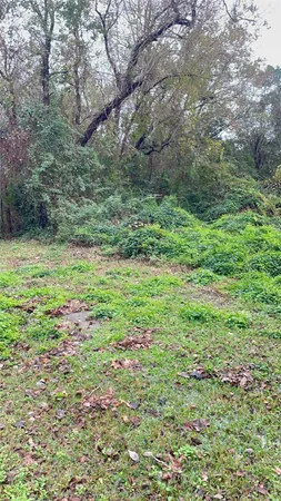 a big yard with lots of green space and deers