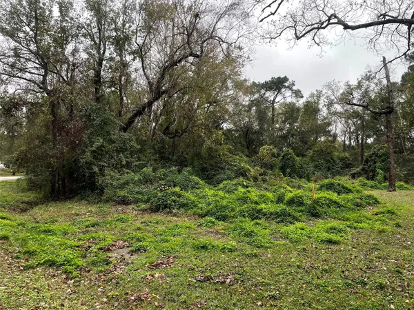 a view of a green field with lots of bushes