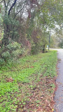 a big yard with lots of green space and glass windows