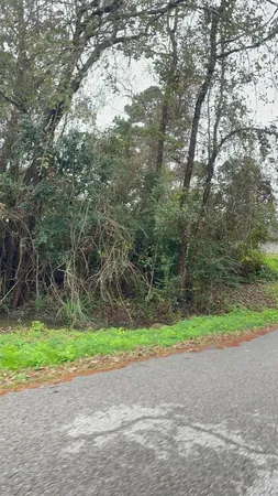 a small yard with a trees
