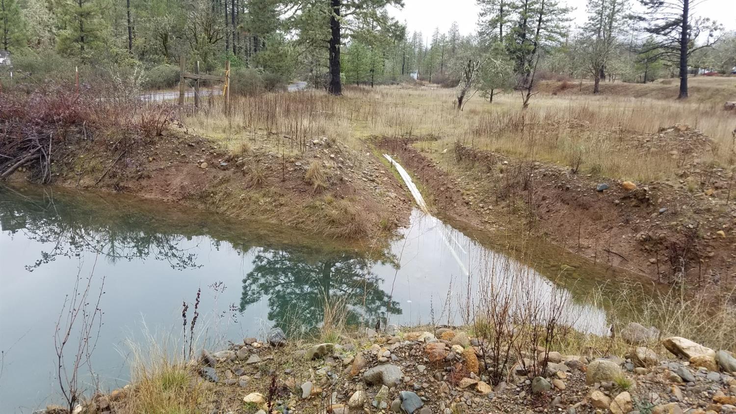 6837 West Side Road Cave Junction, OR 97523 - Photo 34 of 35 Small Spring fed Pond on SE corner of pr