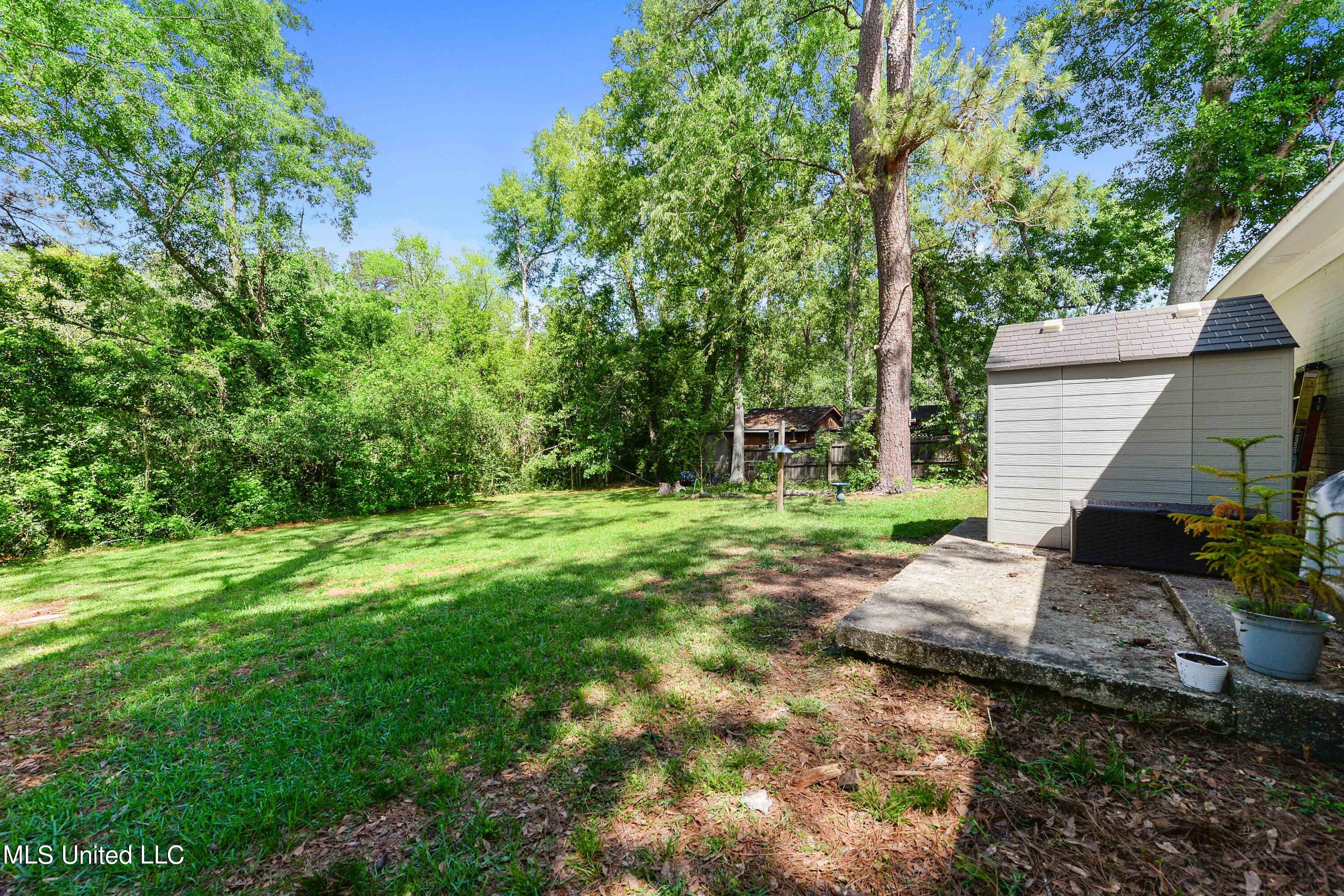 2115 Millswood Road Picayune, MS 39466 - Photo 23 of 25 Backyard