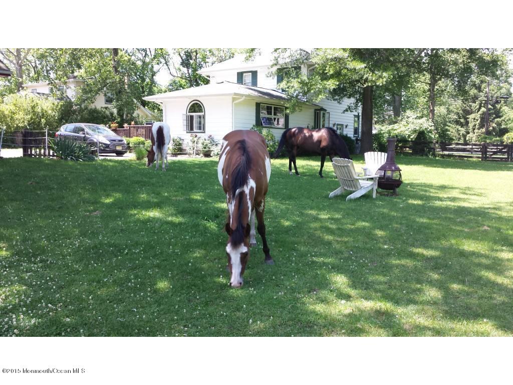 129 Colts Neck Road Farmingdale, NJ 07727 - Photo 4 of 6 04-In your back yard