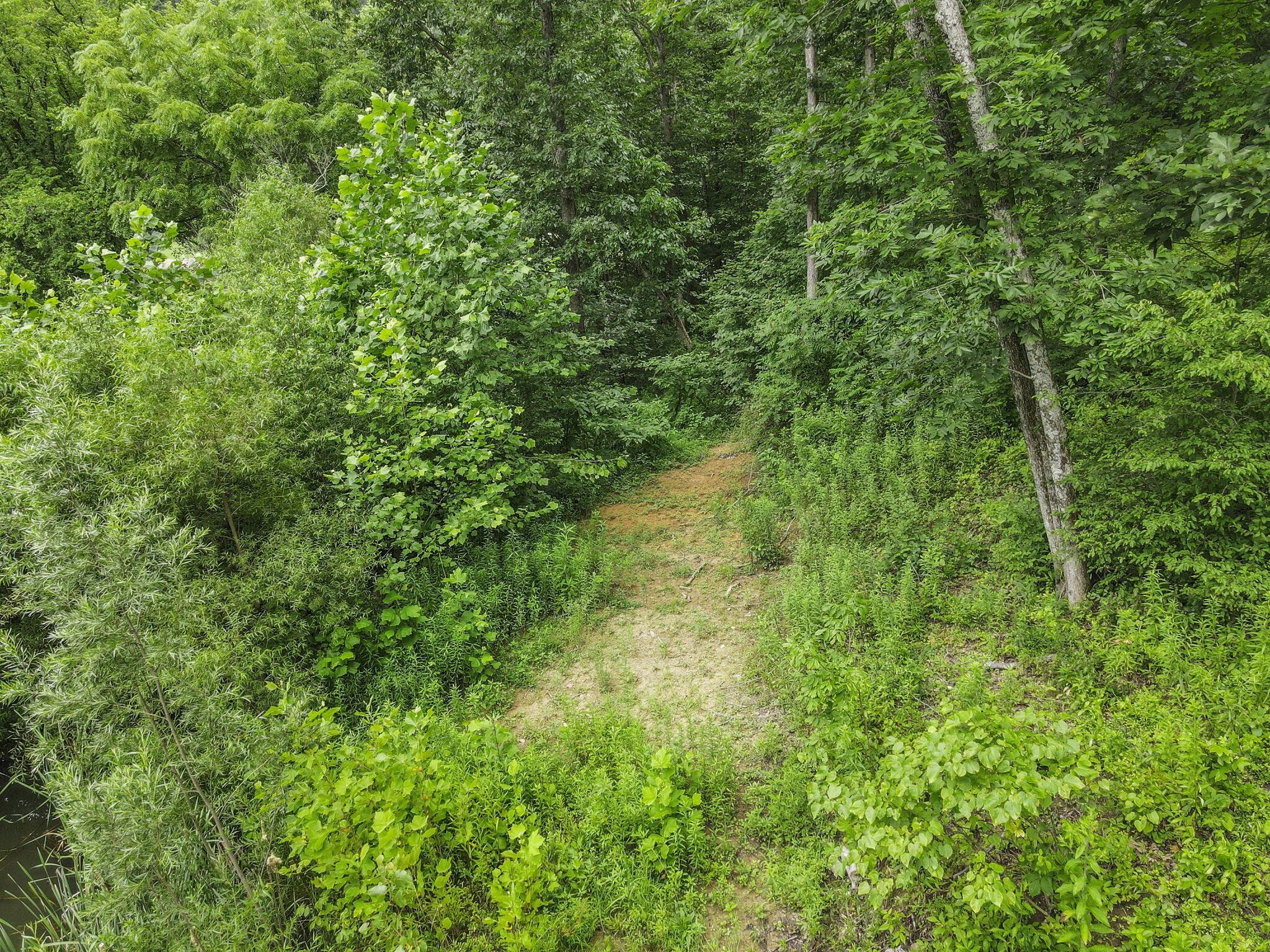 0 Greens Run Road Glouster, OH 45732 - Photo 93 of 121 93-web-or-mls-DJI_0366