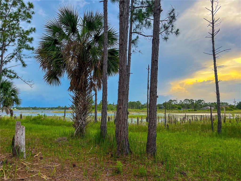 2332 Mitchell Island Road Deltona, FL 32738 - Photo 10 of 18