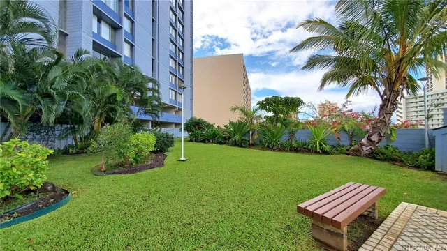 a view of a backyard with plants and a garden