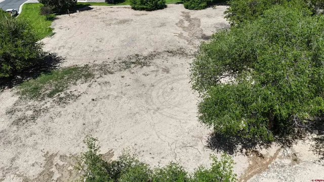 a view of a yard with a tree