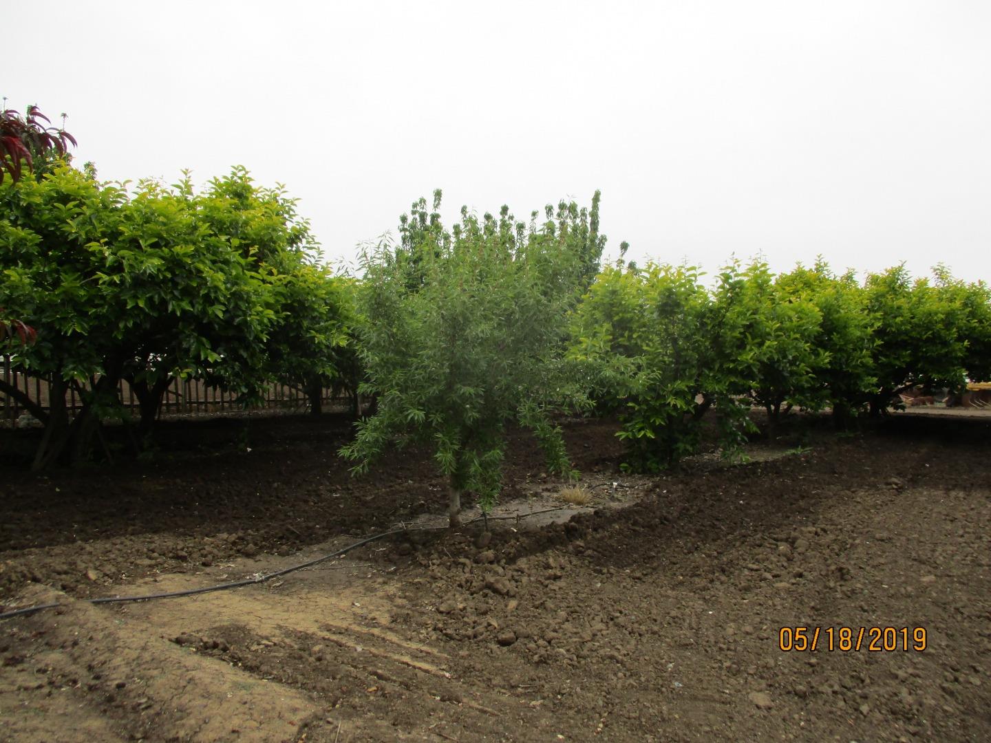 7230 Holsclaw Road Gilroy, CA 95020 - Photo 7 of 19 a view of a yard