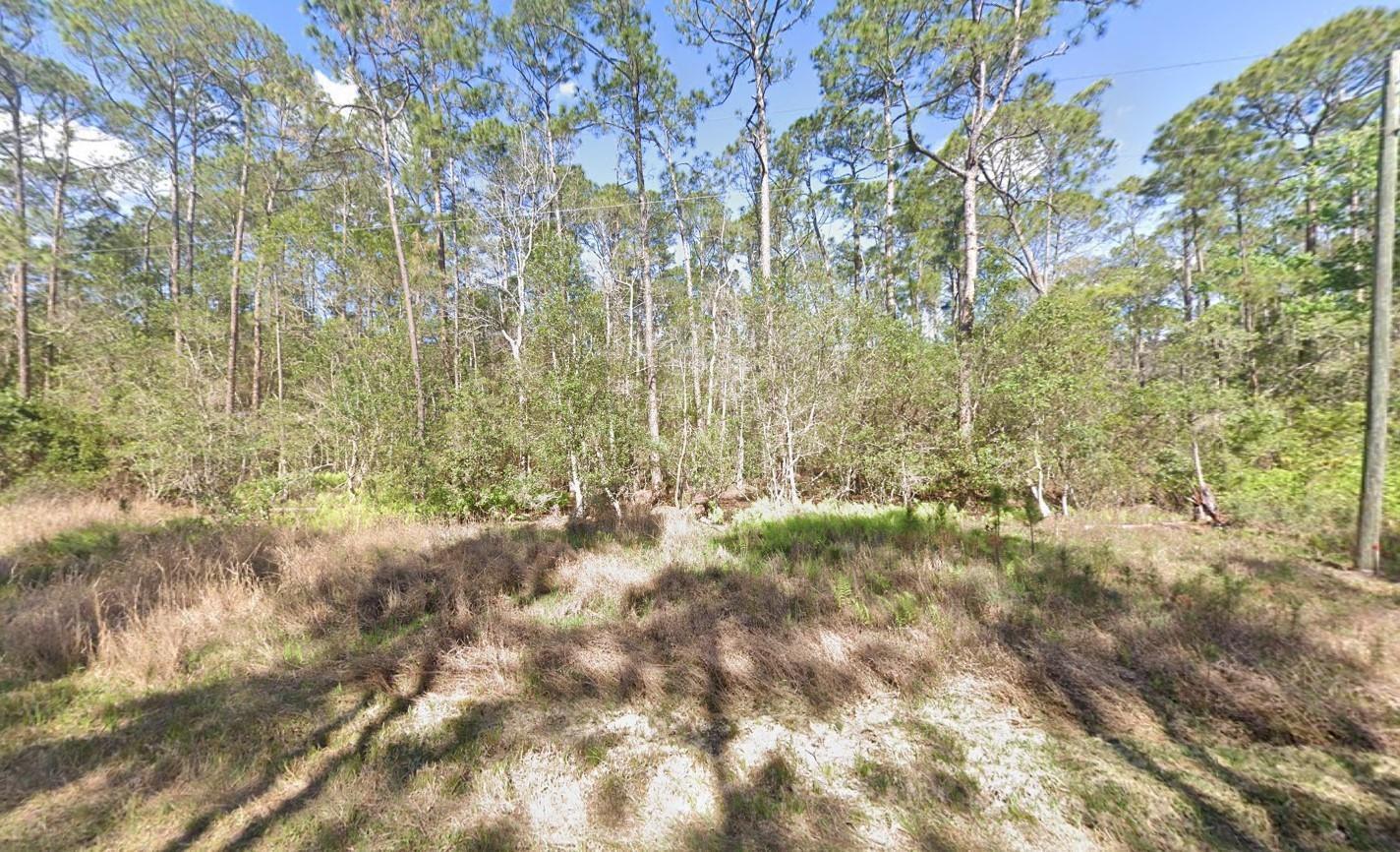 210 2nd Street Georgetown, FL 32139 - Photo 6 of 7 a view of forest