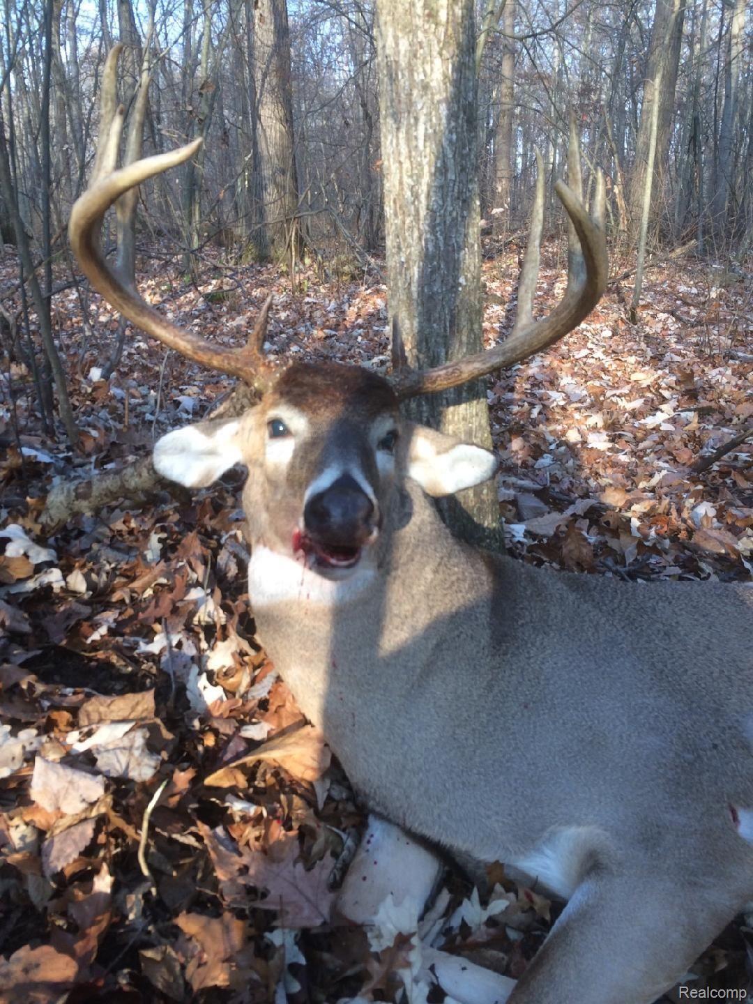 Vl Whittaker Road Milan, MI 48160 - Photo 10 of 10 6.JPG