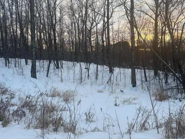 $21,500 | 5-xxx Banyan Drive, Garrison, MN 56450