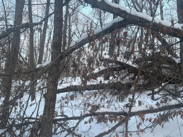 $21,500 | 5-xxx Banyan Drive, Garrison, MN 56450