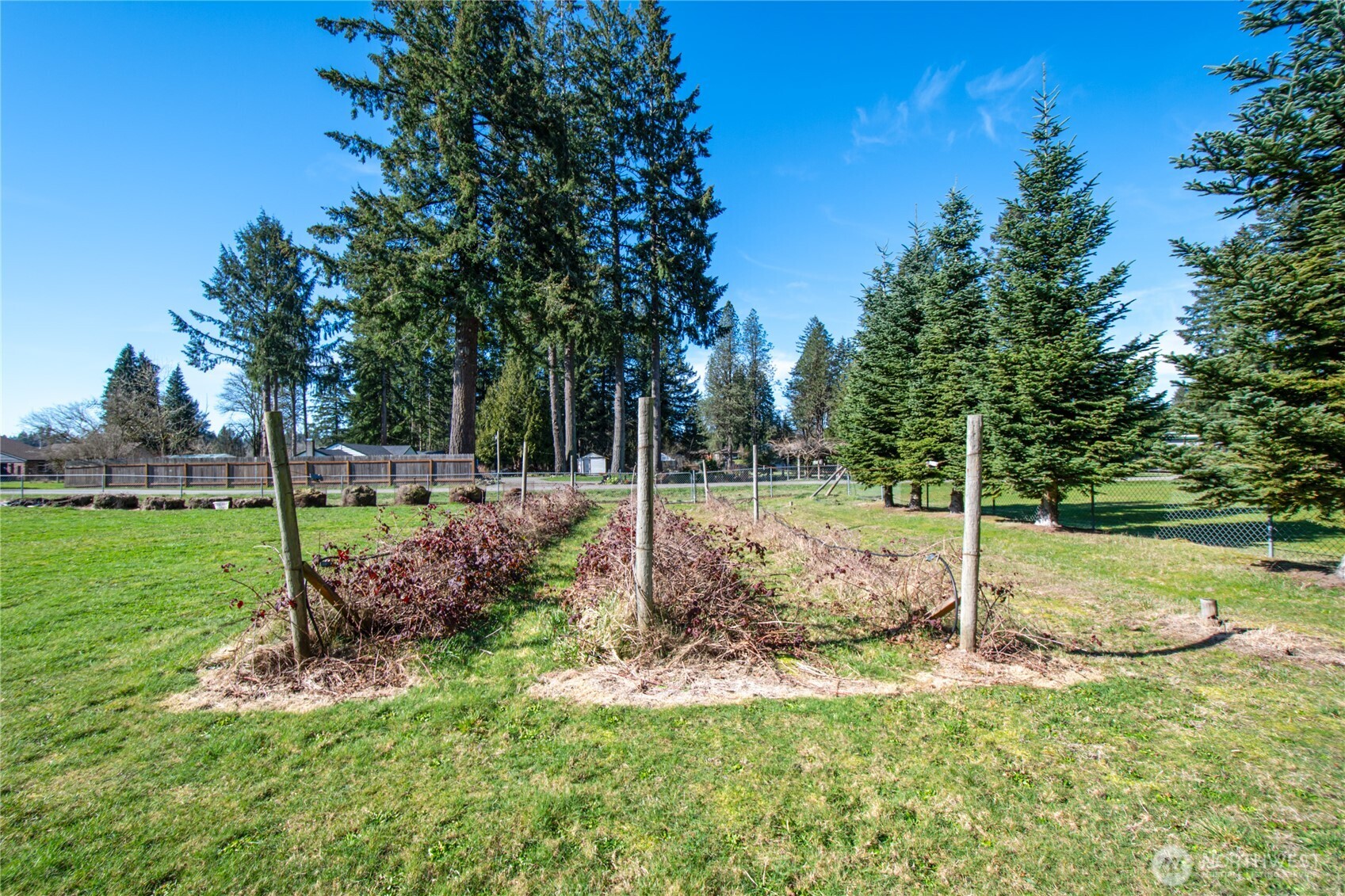 177 Quick Road Castle Rock, WA 98611 - Photo 28 of 34 Gallery Image 28
