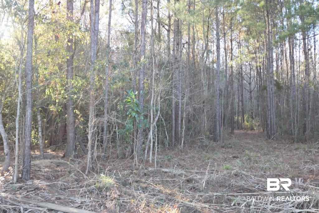 0 Riviere Du Chien Mobile, AL 36693 - Photo 11 of 17