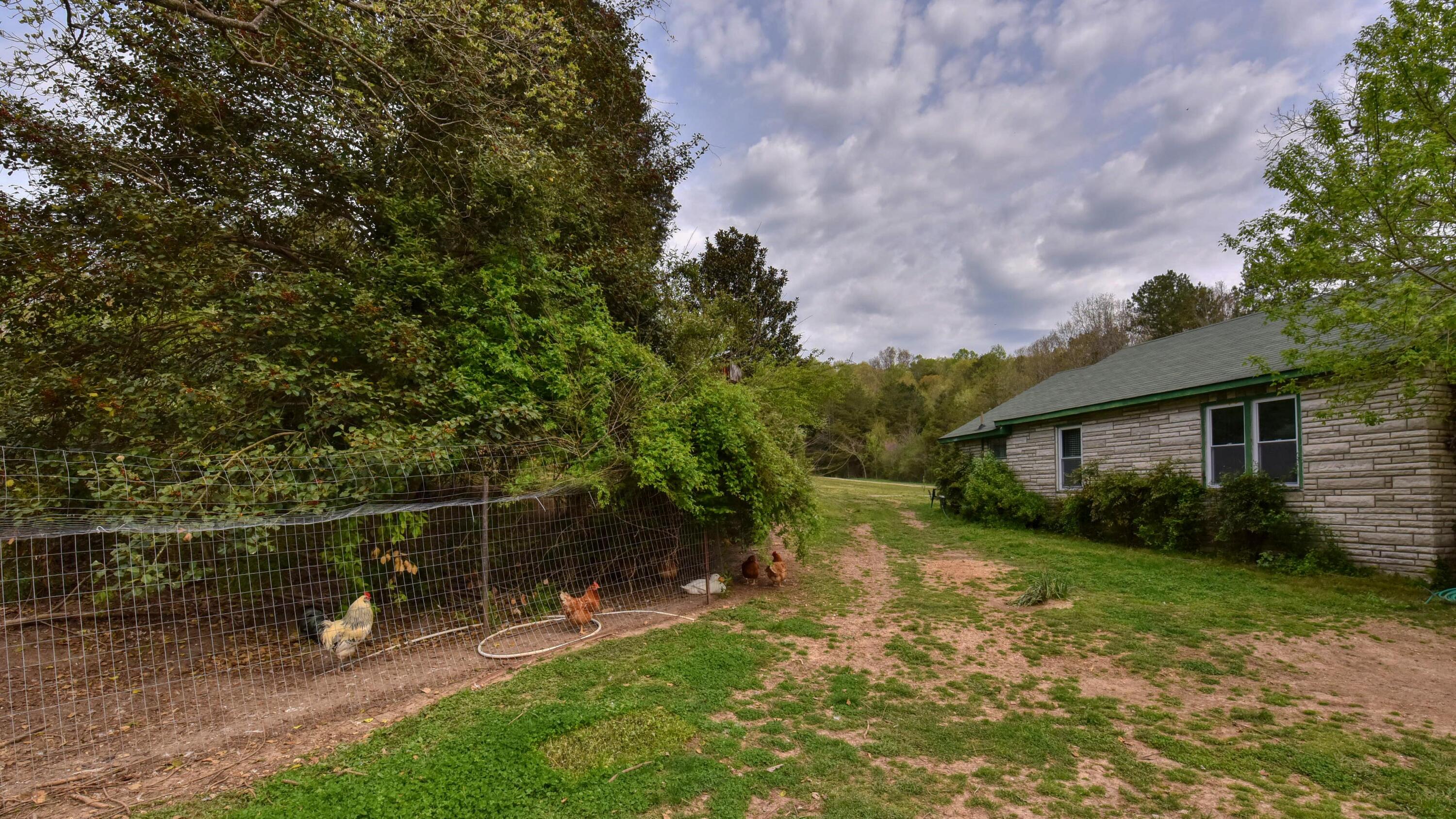 427 Poplar Springs Road Kingston, TN 37763 - Photo 19 of 36 SL8_6886