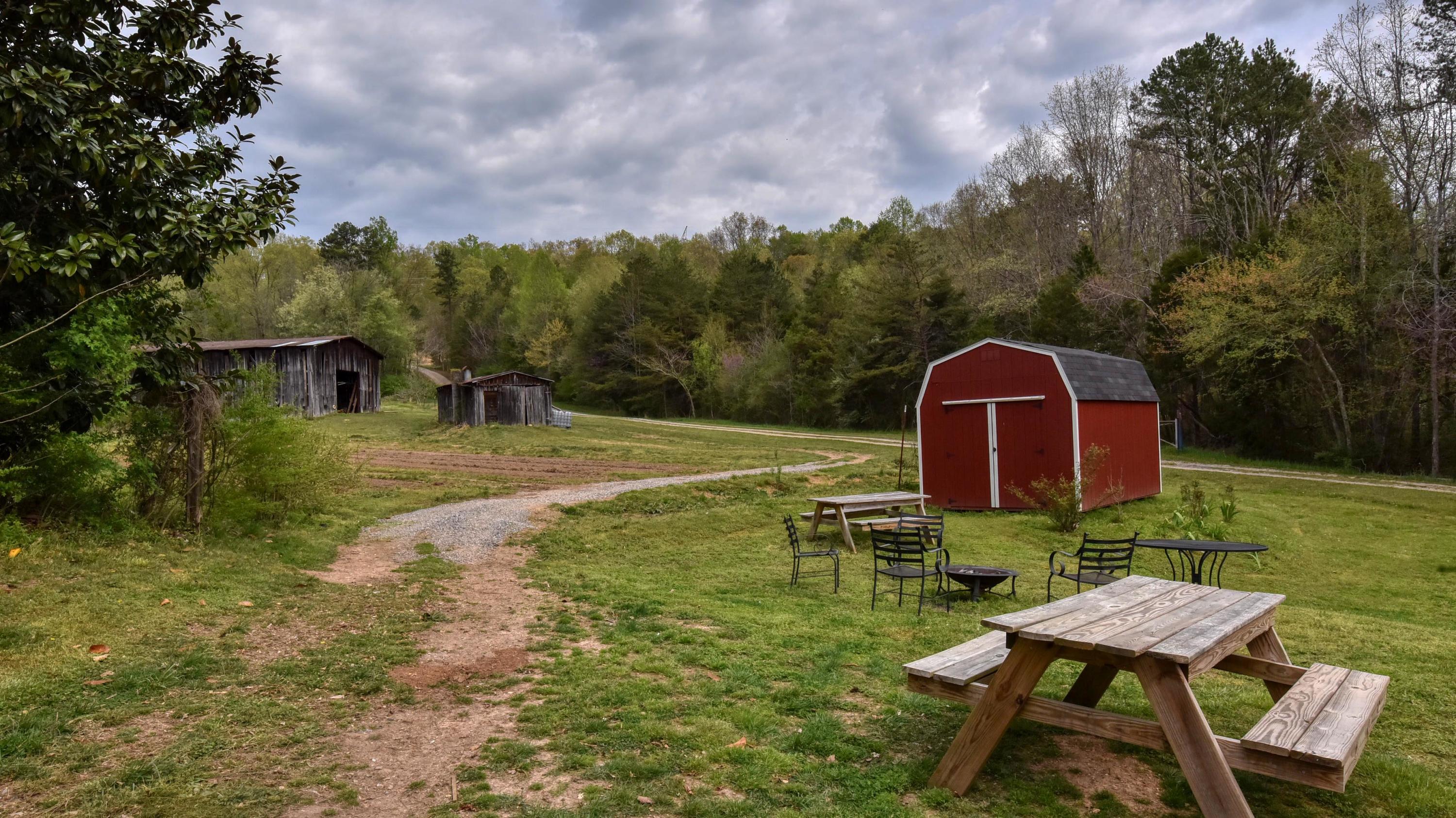 427 Poplar Springs Road Kingston, TN 37763 - Photo 21 of 36 SL8_6888