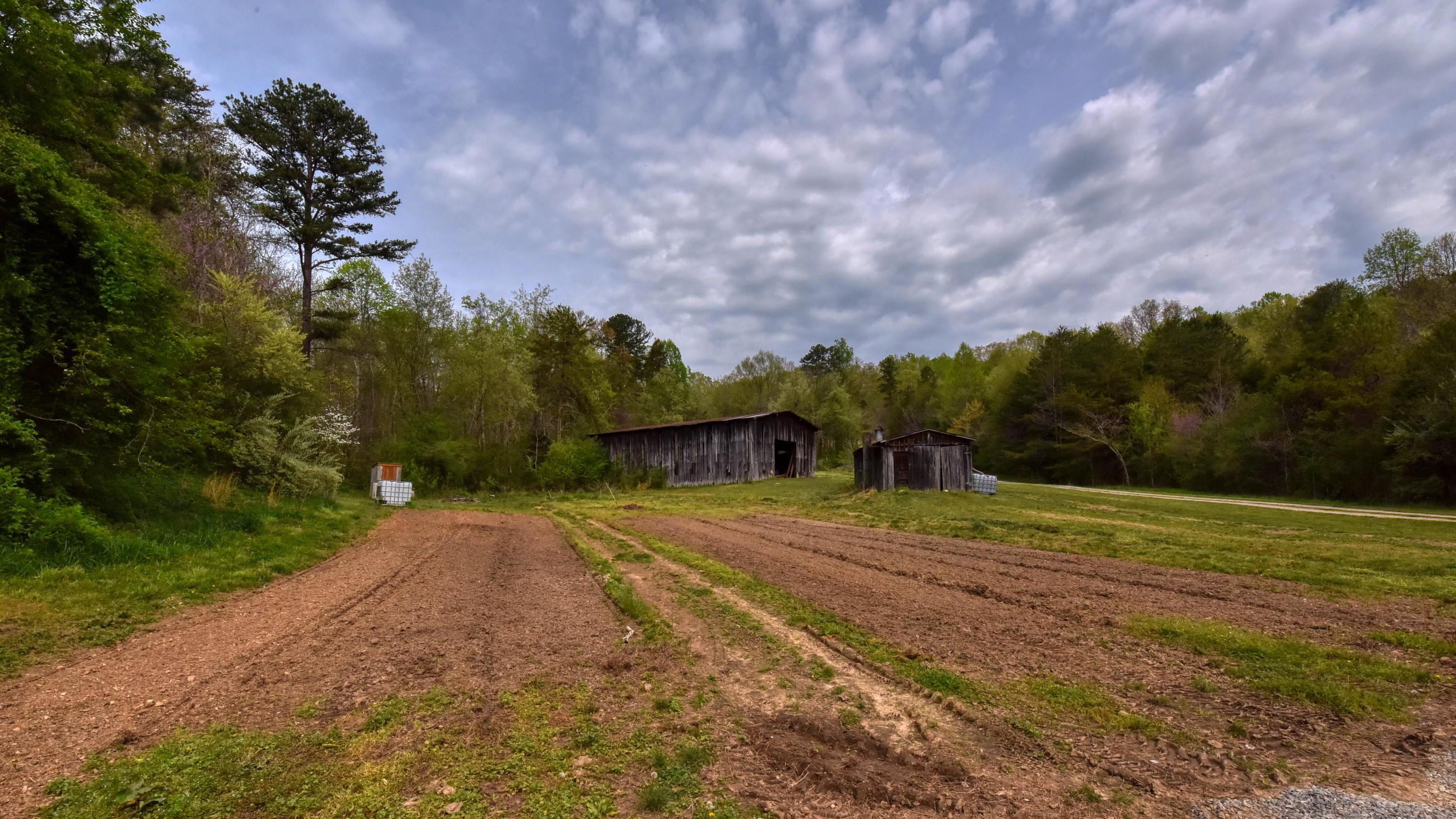 427 Poplar Springs Road Kingston, TN 37763 - Photo 23 of 36 SL8_6890