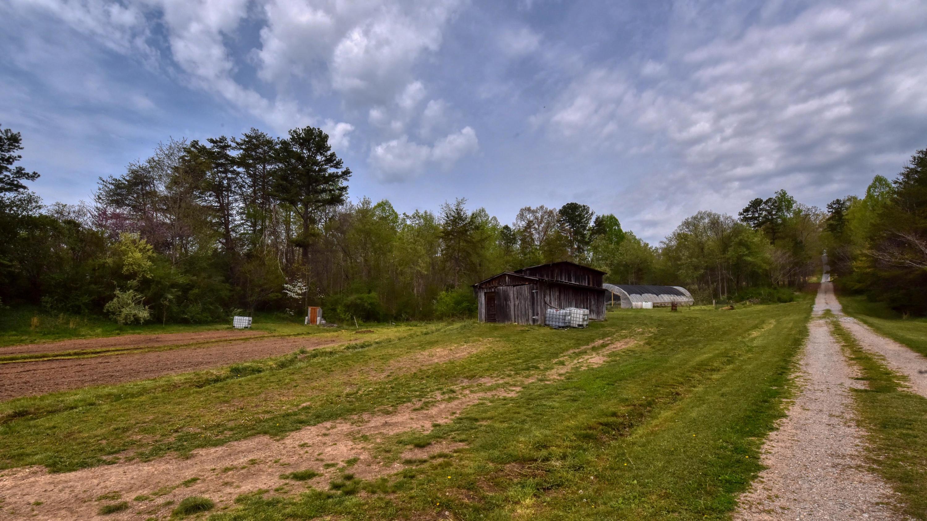 427 Poplar Springs Road Kingston, TN 37763 - Photo 24 of 36 SL8_6891