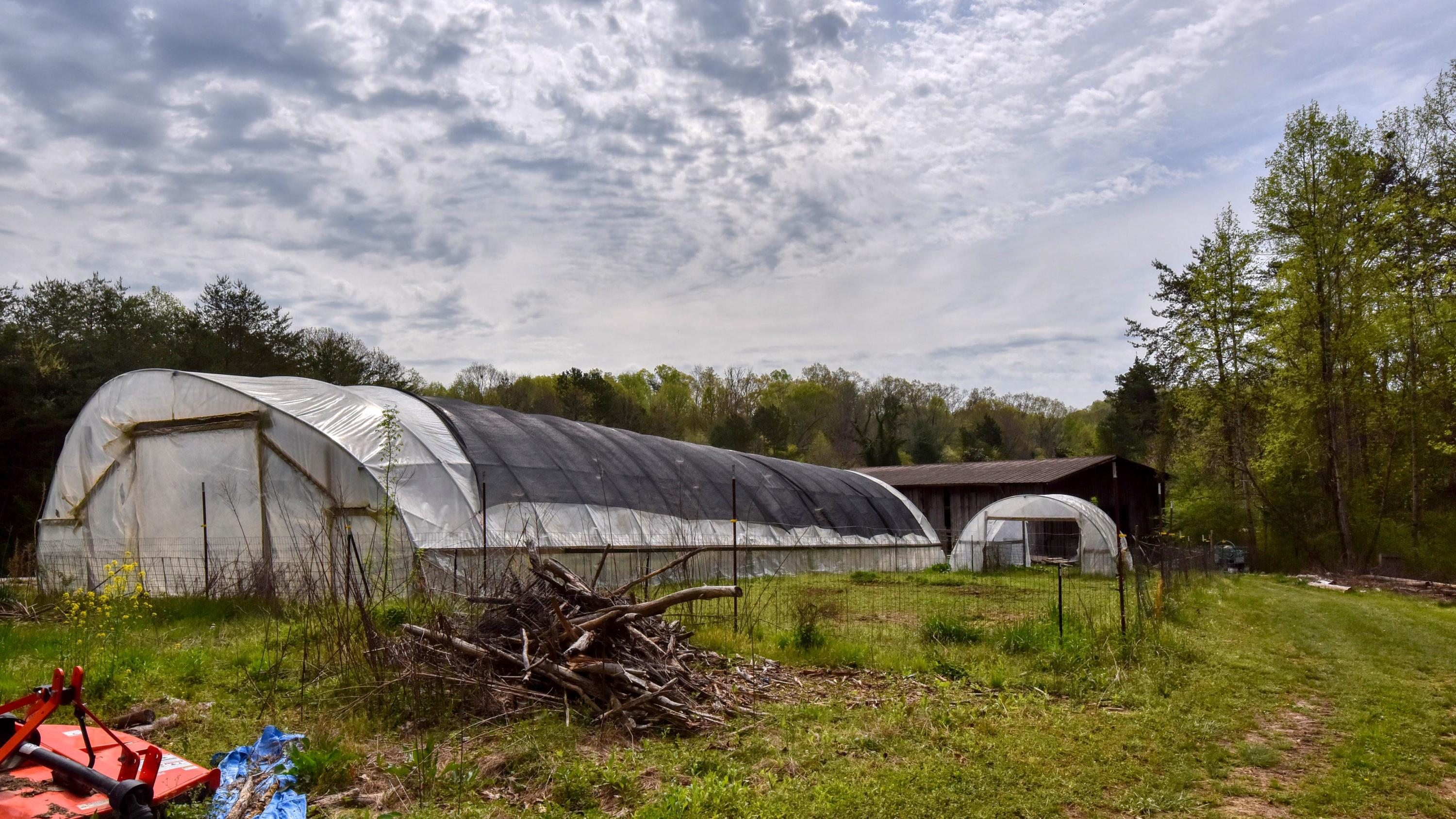 427 Poplar Springs Road Kingston, TN 37763 - Photo 31 of 36 SL8_6898