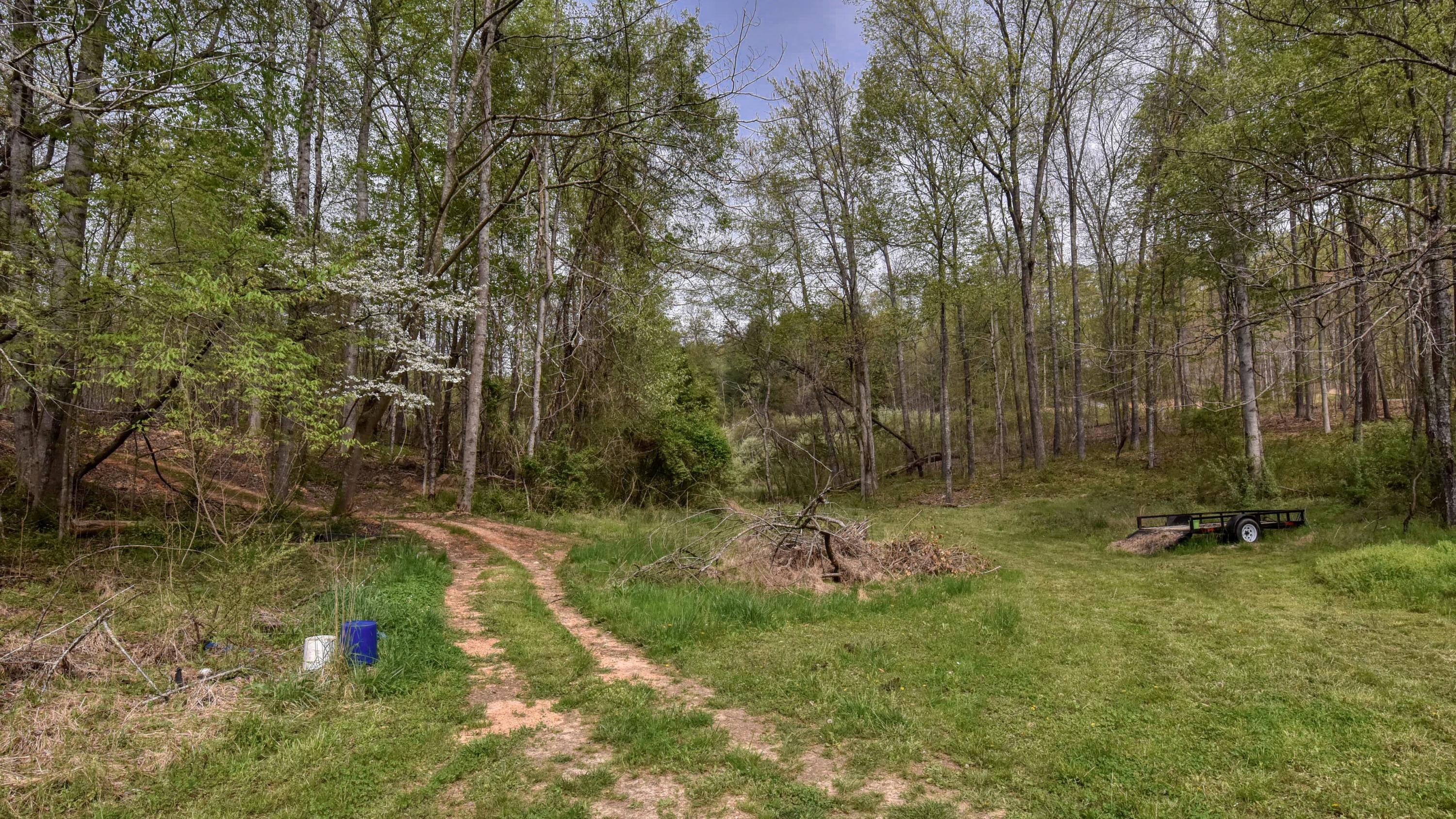427 Poplar Springs Road Kingston, TN 37763 - Photo 32 of 36 SL8_6899