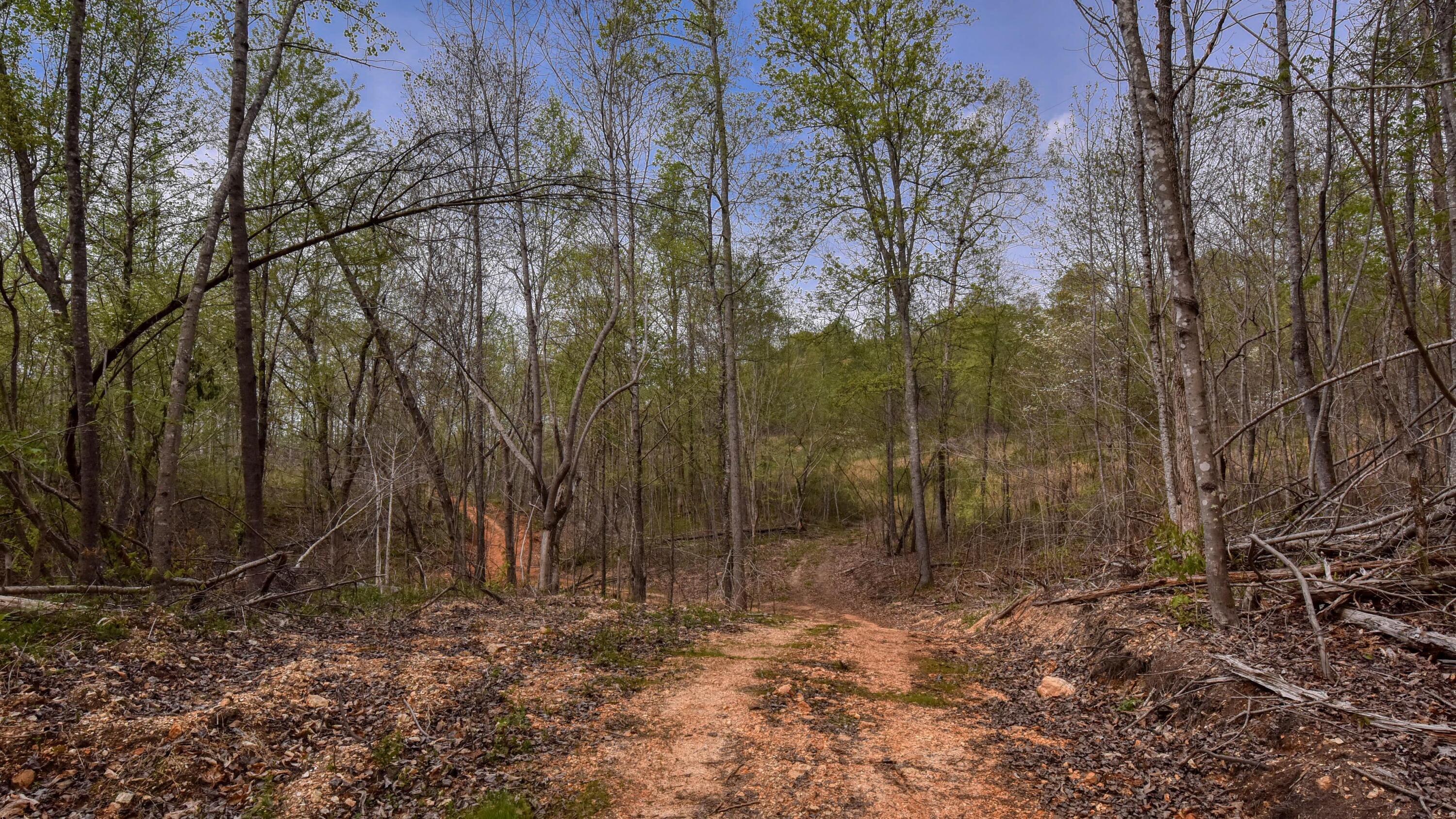 427 Poplar Springs Road Kingston, TN 37763 - Photo 35 of 36 SL8_6900