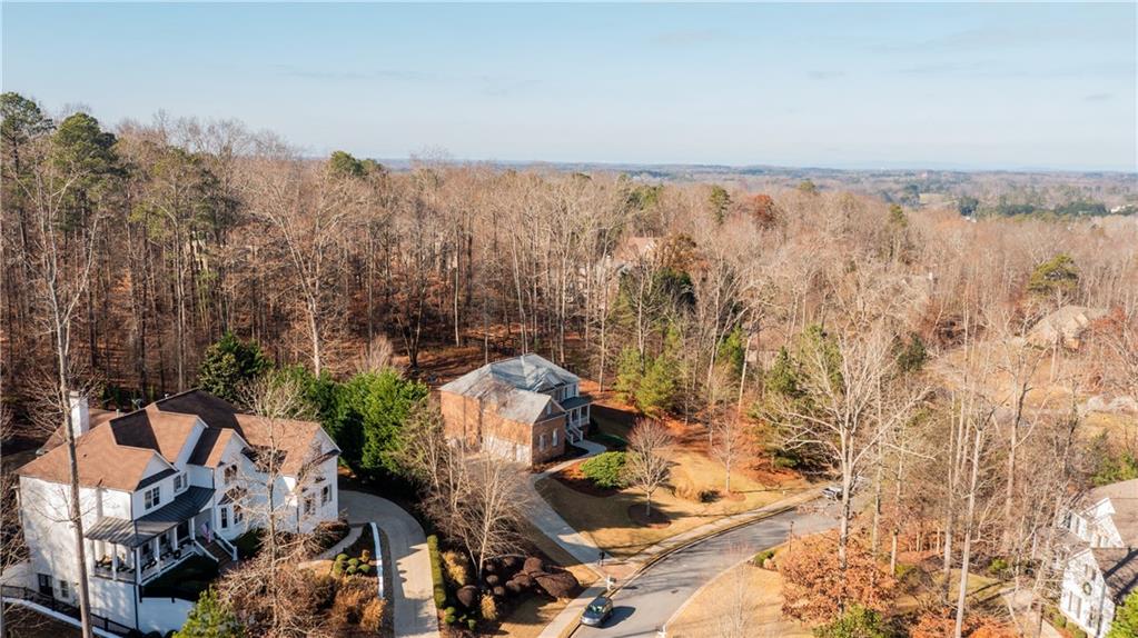 1625 Hamiota Ridge Alpharetta, GA 30004 - Photo 76 of 86 an aerial view of multiple house