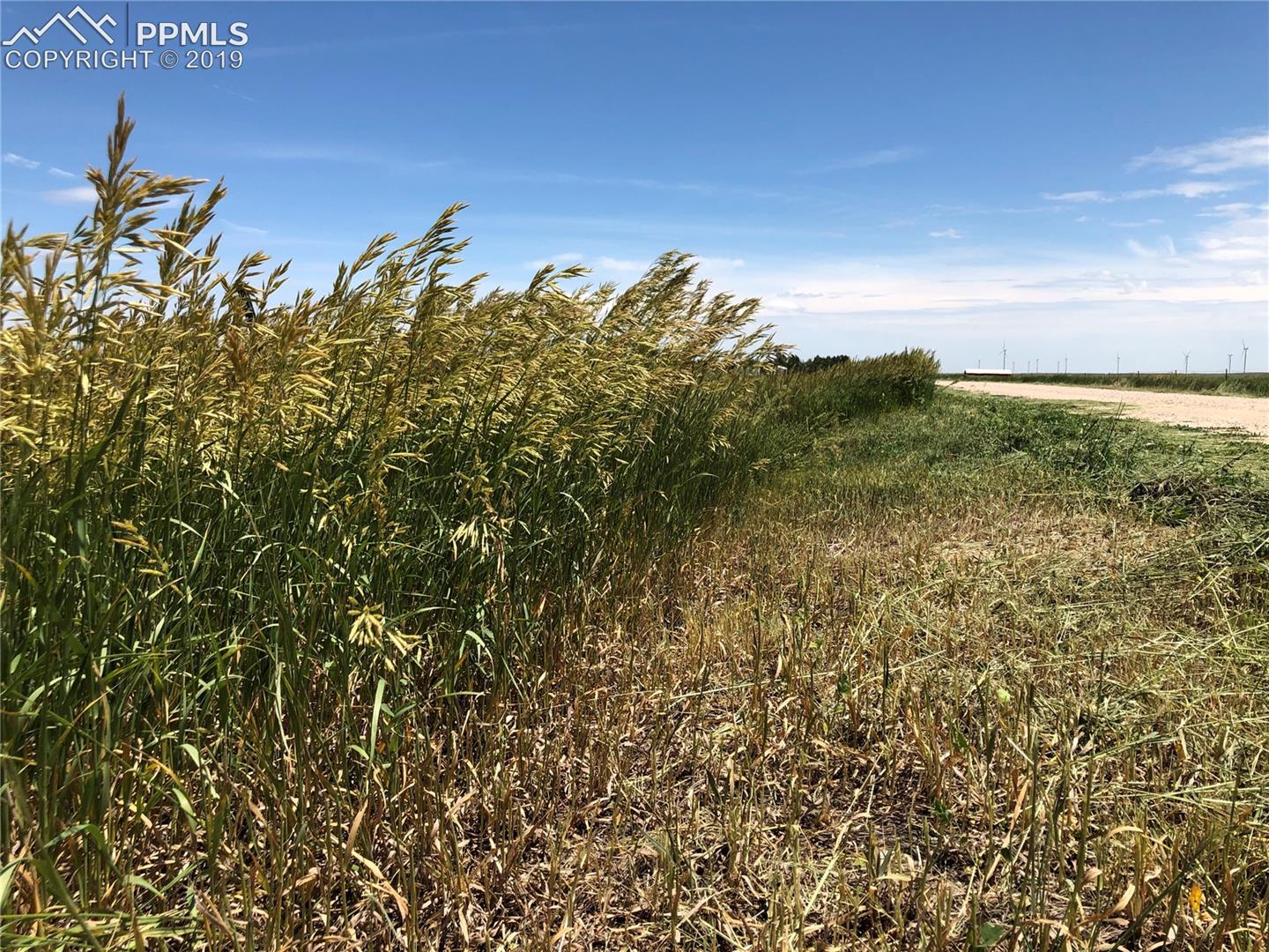 Alford Road Simla, CO 80835 - Photo 1 of 22