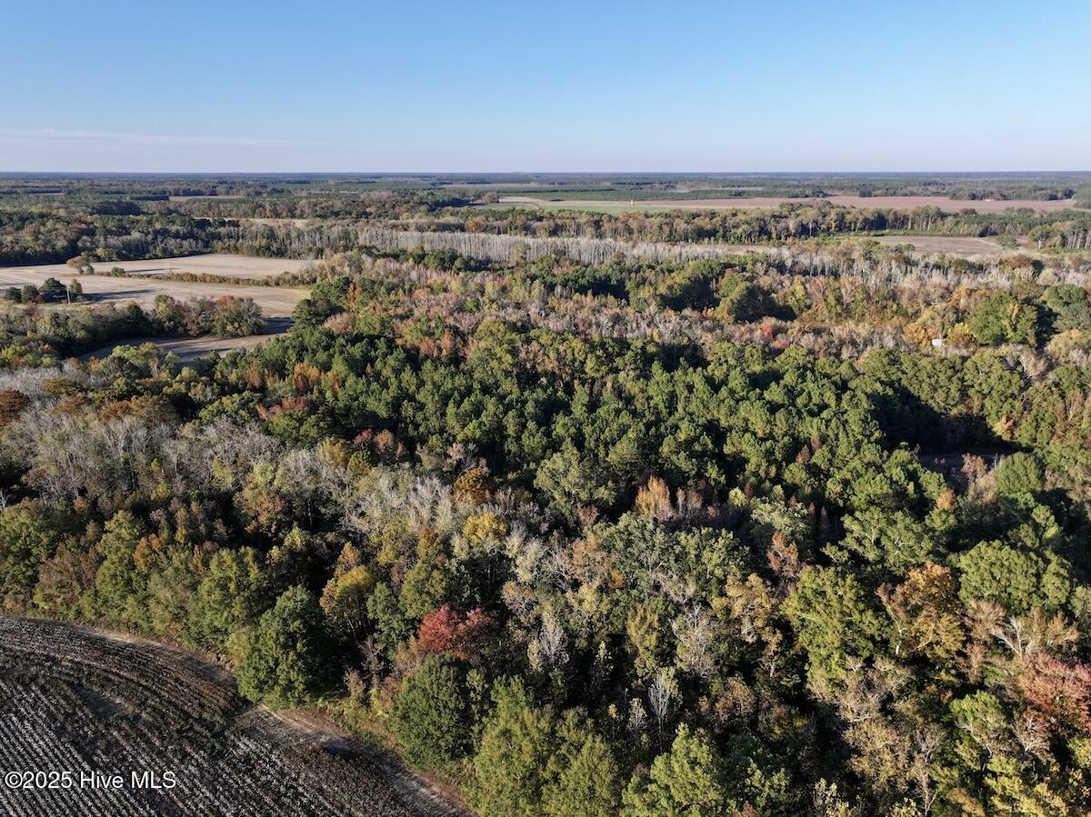 247 Quitsna Road Windsor, NC 27983 - Photo 11 of 30 11