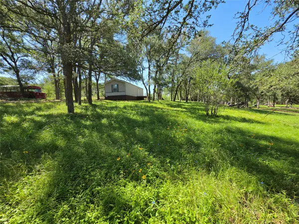 a big yard with lots of green space and trees