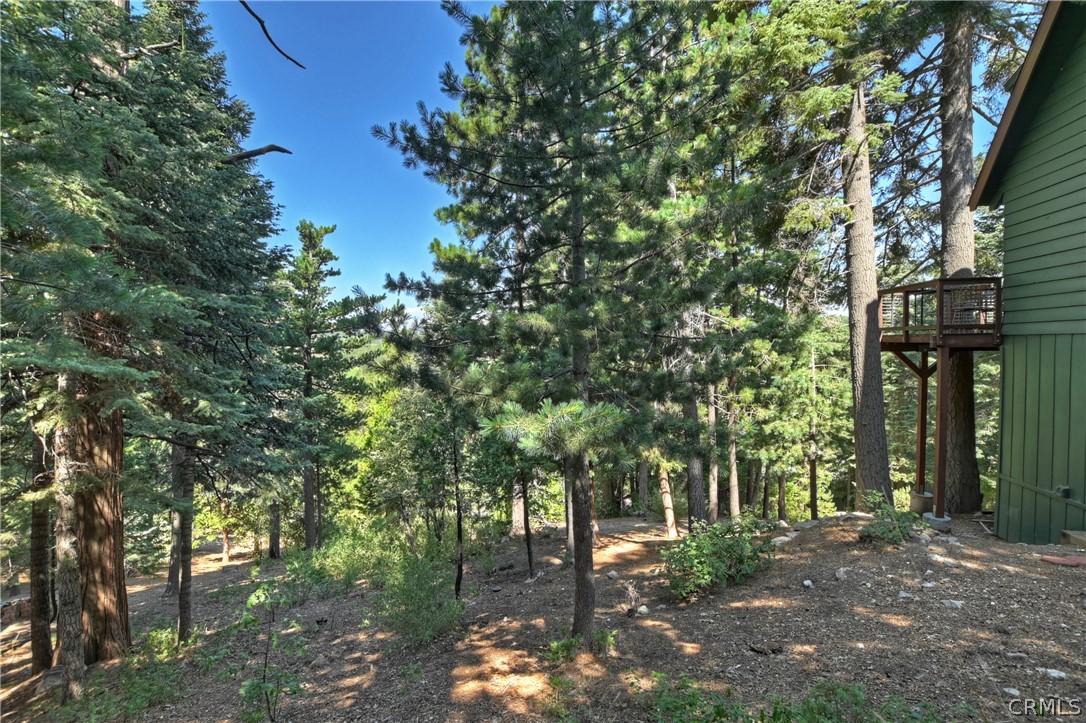 137 Grizzly Road Lake Arrowhead, CA 92352 - Photo 40 of 43 Back exterior land
