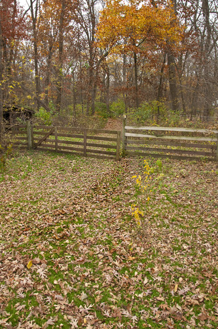 7271 South Ridge Road Dixon, IL 61021 - Photo 16 of 18 a view of a yard