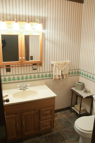 7271 South Ridge Road Dixon, IL 61021 - Photo 9 of 18 a bathroom with a sink and a toilet