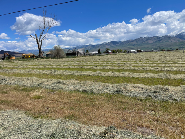 750 North Main Street Lewiston, UT 84320 - Photo 7 of 9 Expansive agricultural land featuring cut hay rows and distant mountain ranges