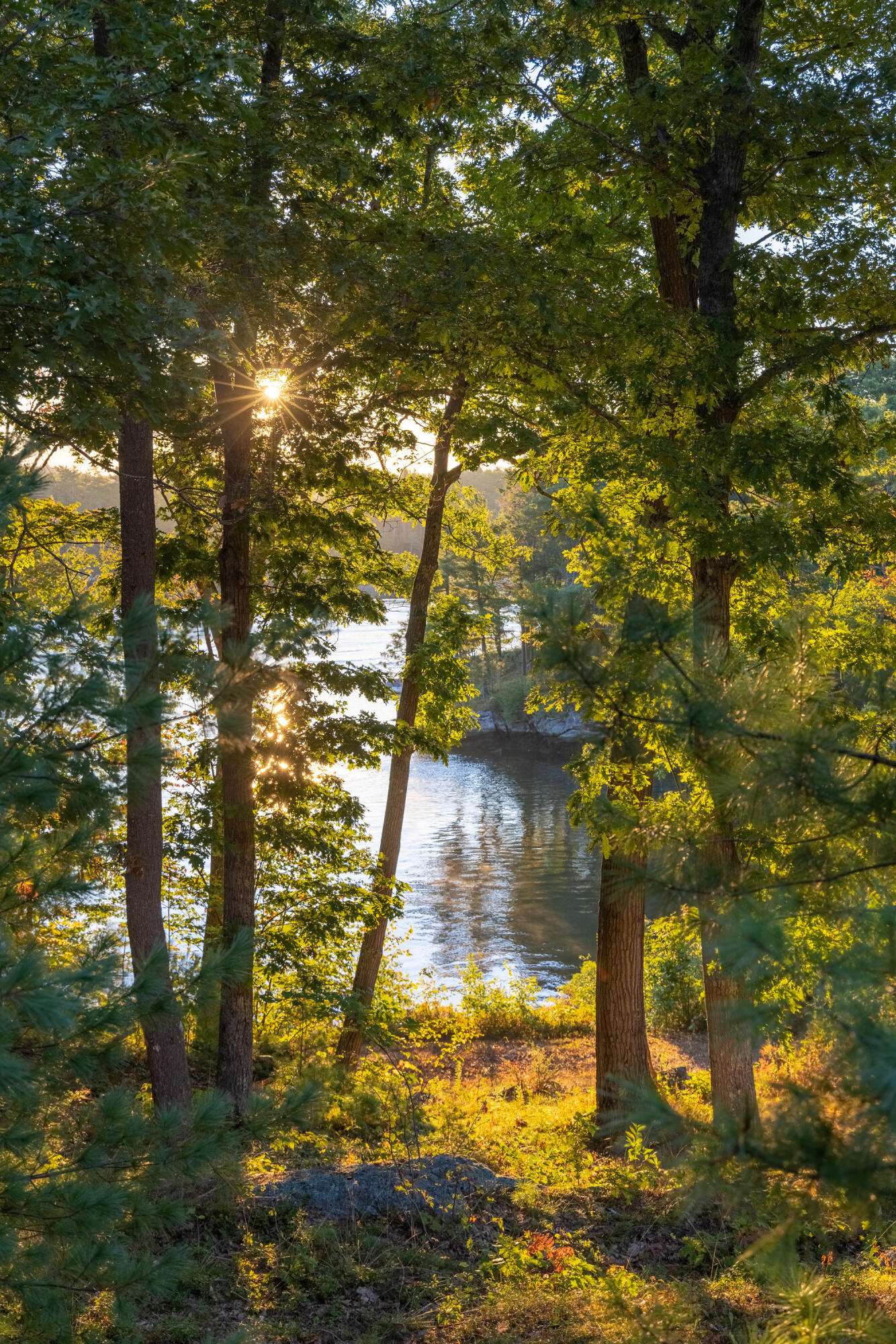 213 Fiddlers Reach Road Phippsburg, ME 04562 - Photo 11 of 58 213 Fiddlers Reach