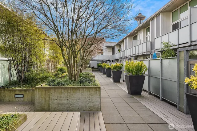 a view of outdoor space yard and patio