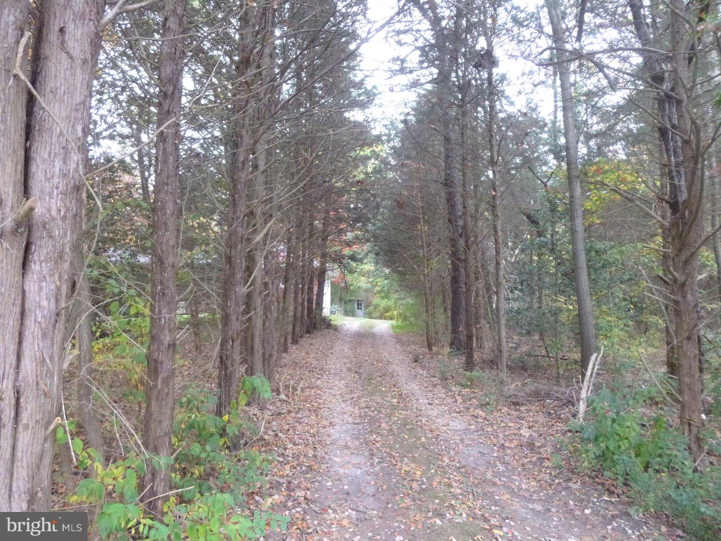545 Behl Road Franklinville, NJ 08322 - Photo 15 of 21 Driveway