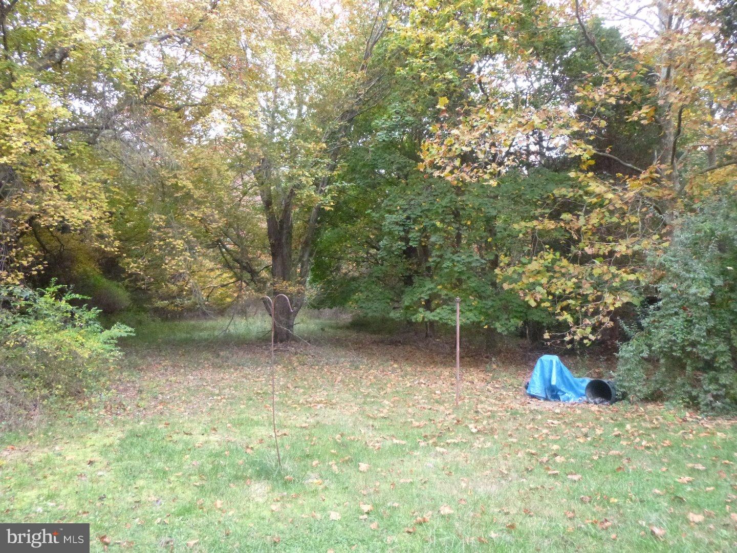 545 Behl Road Franklinville, NJ 08322 - Photo 18 of 21 View in Back