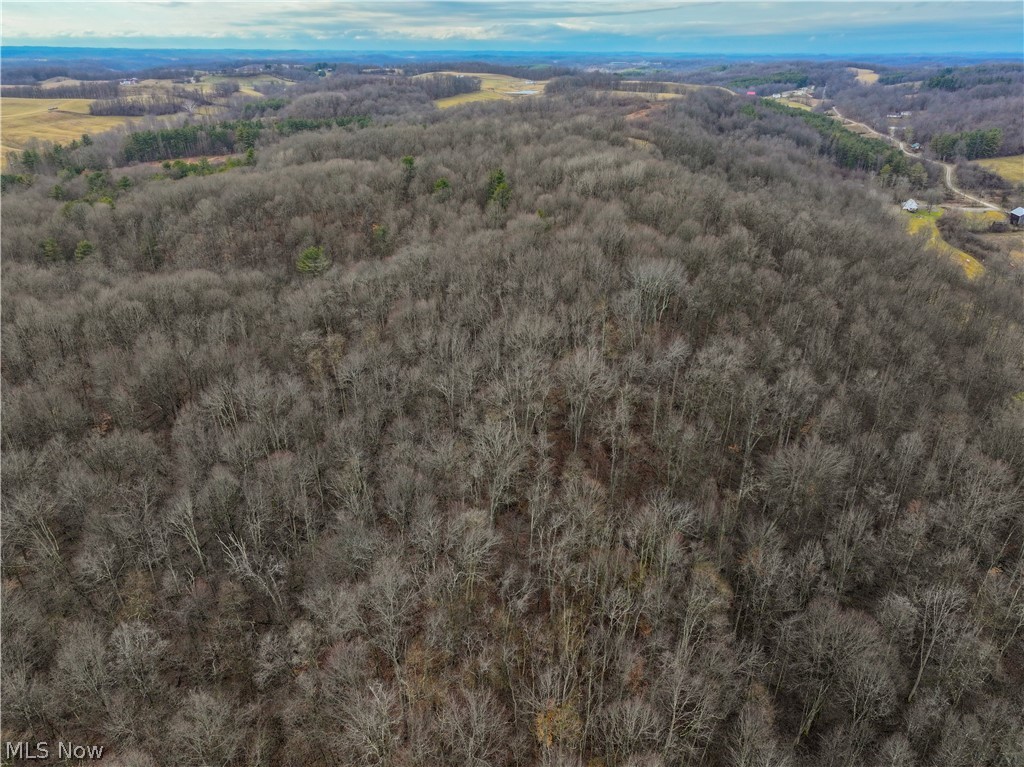 0 Tract 10 Kuhn Road Lewisville, OH 43754 - Photo 26 of 27