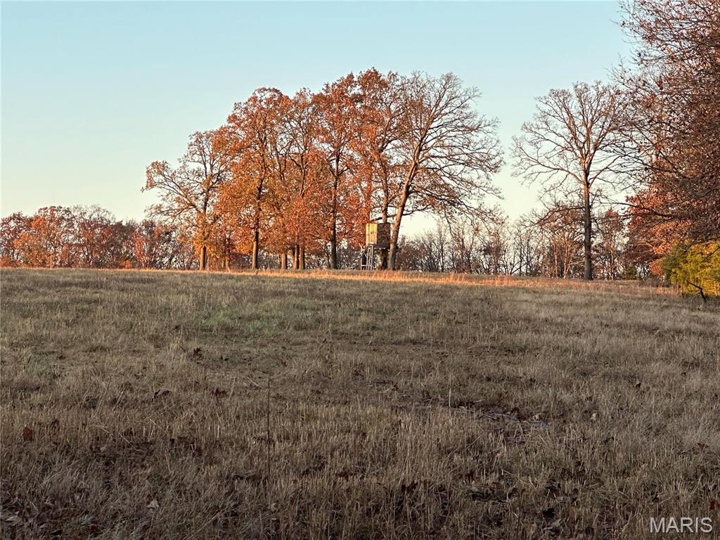 0 Estes Road, Unit TRACT#2 Rosebud, MO 63091 - Photo 4 of 12