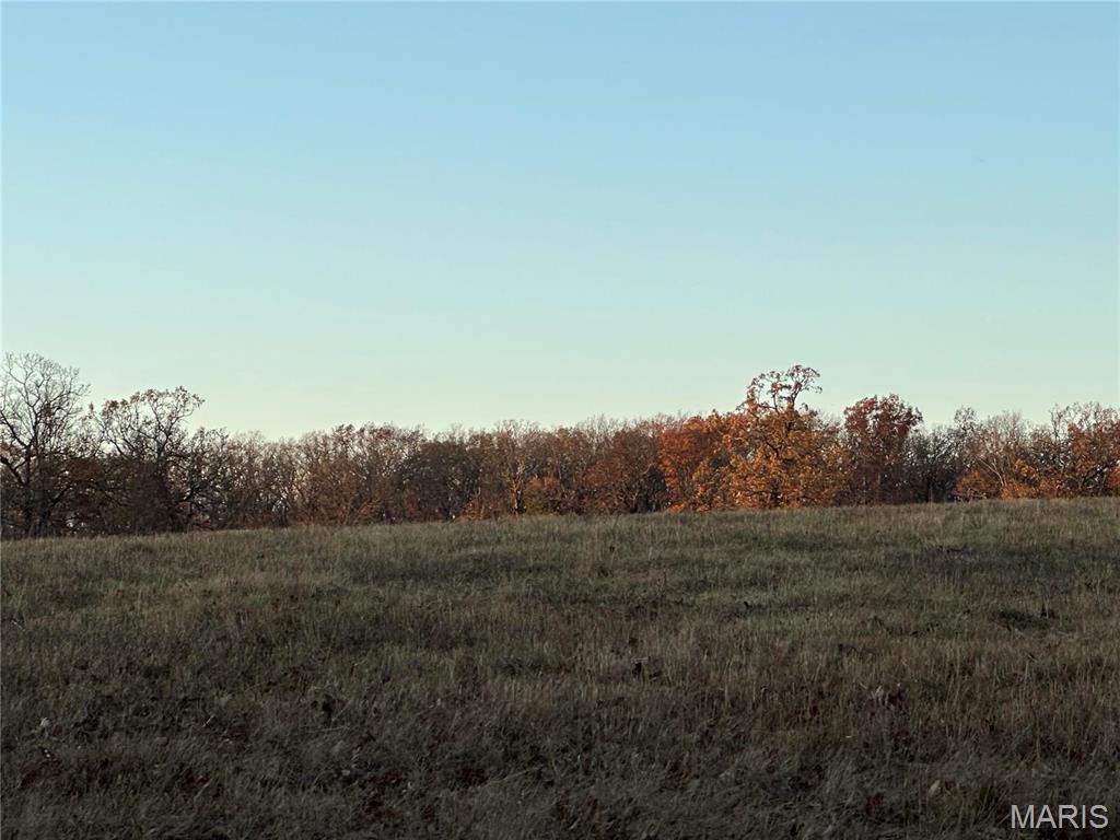 0 Estes Road, Unit TRACT#2 Rosebud, MO 63091 - Photo 7 of 12