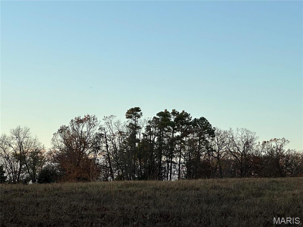 0 Estes Road, Unit TRACT#2 Rosebud, MO 63091 - Photo 9 of 12