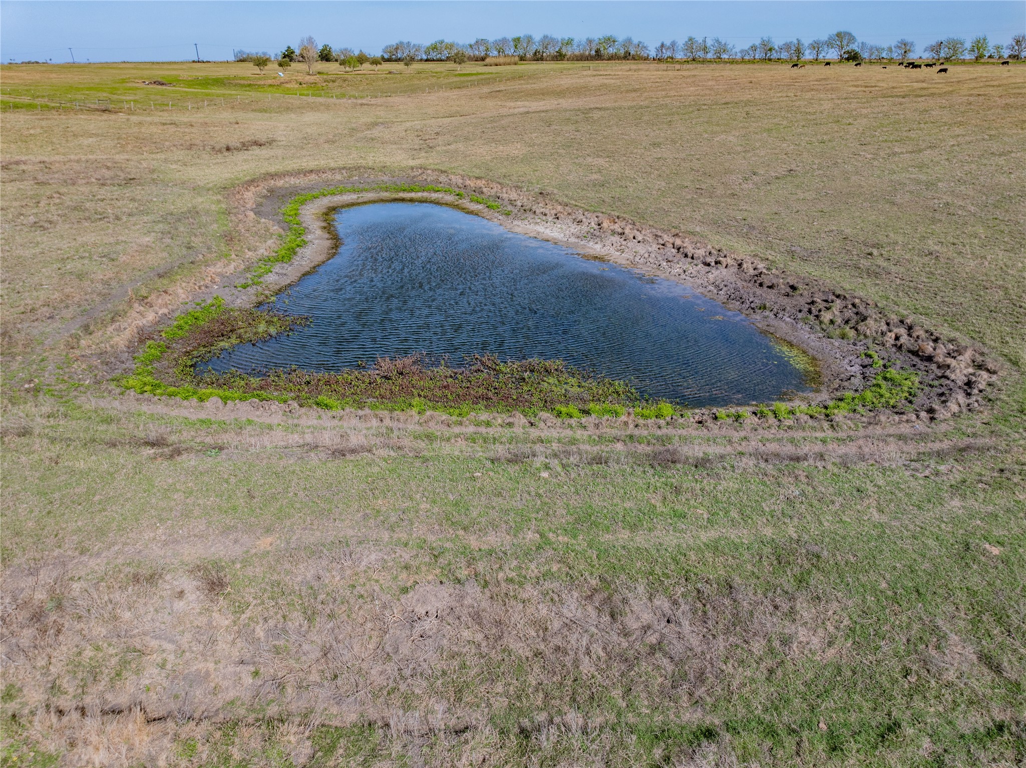 555 Knape Road La Grange, TX 78945 - Photo 14 of 28 a view of an ocean beach