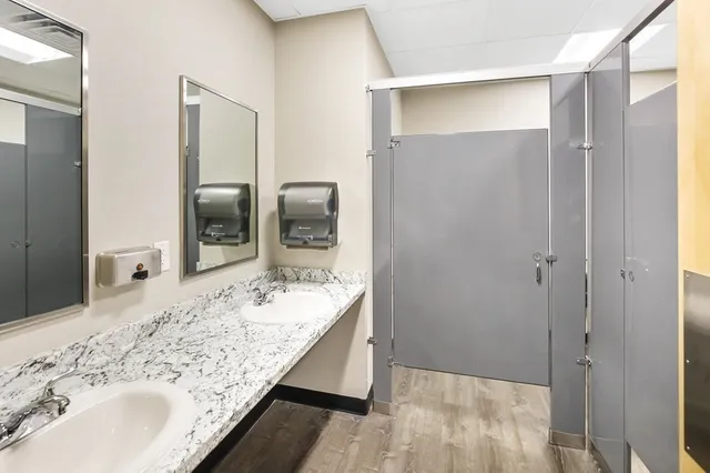 a view of a yard with plants