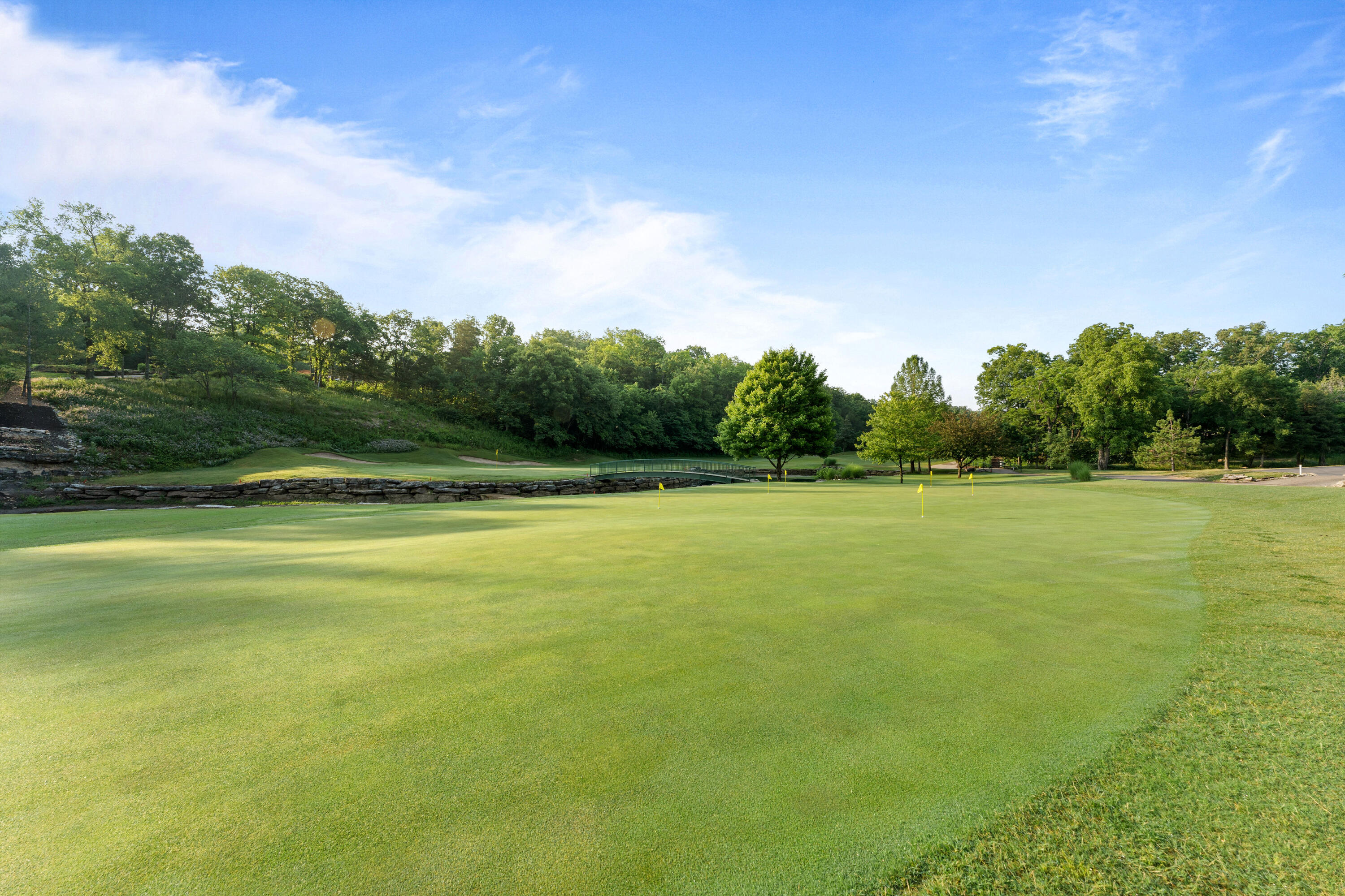 1261 Golf Drive, Unit 2 Reeds Spring, MO 65737 - Photo 62 of 72 Practice Putting Green