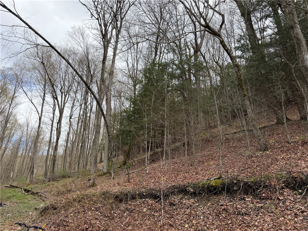 10856 Schwingle Road Prattsburgh, NY 14873 - Photo 41 of 45