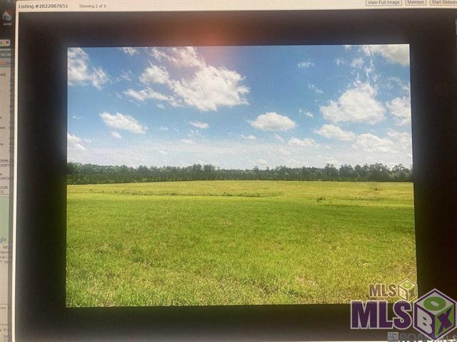 Lot 12 Lower C C Road Clinton, LA 70722 - Photo 2 of 4